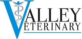 Portfolio Logo
